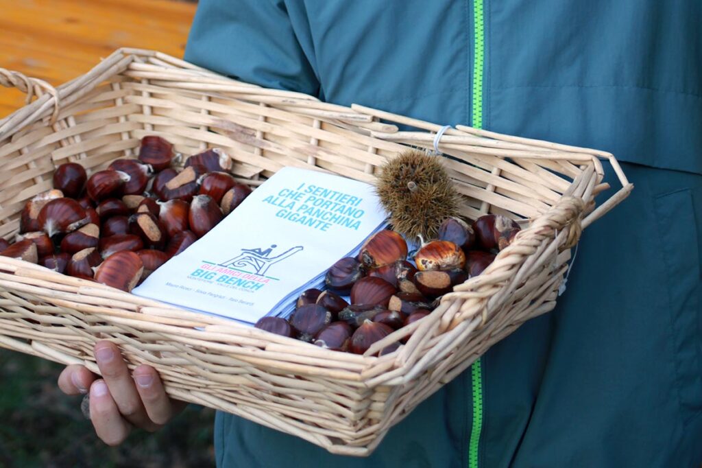 Nel 2024 abbiamo raccolto pochissime castagne a Montefiore Conca