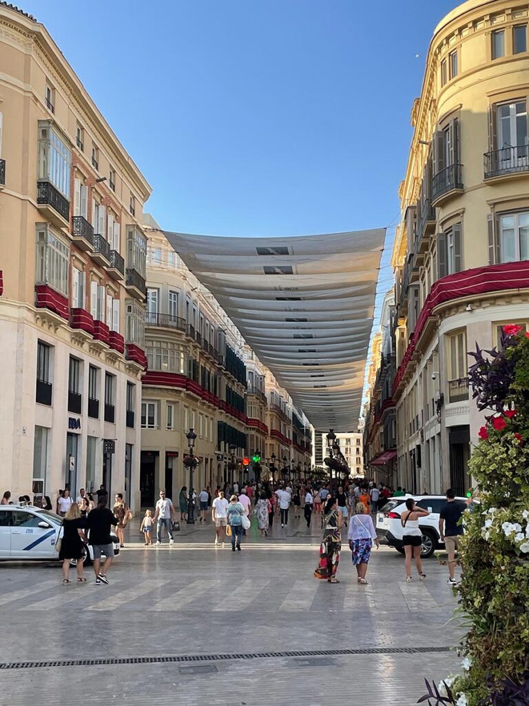 La via dello shopping Calle Marques De Larios