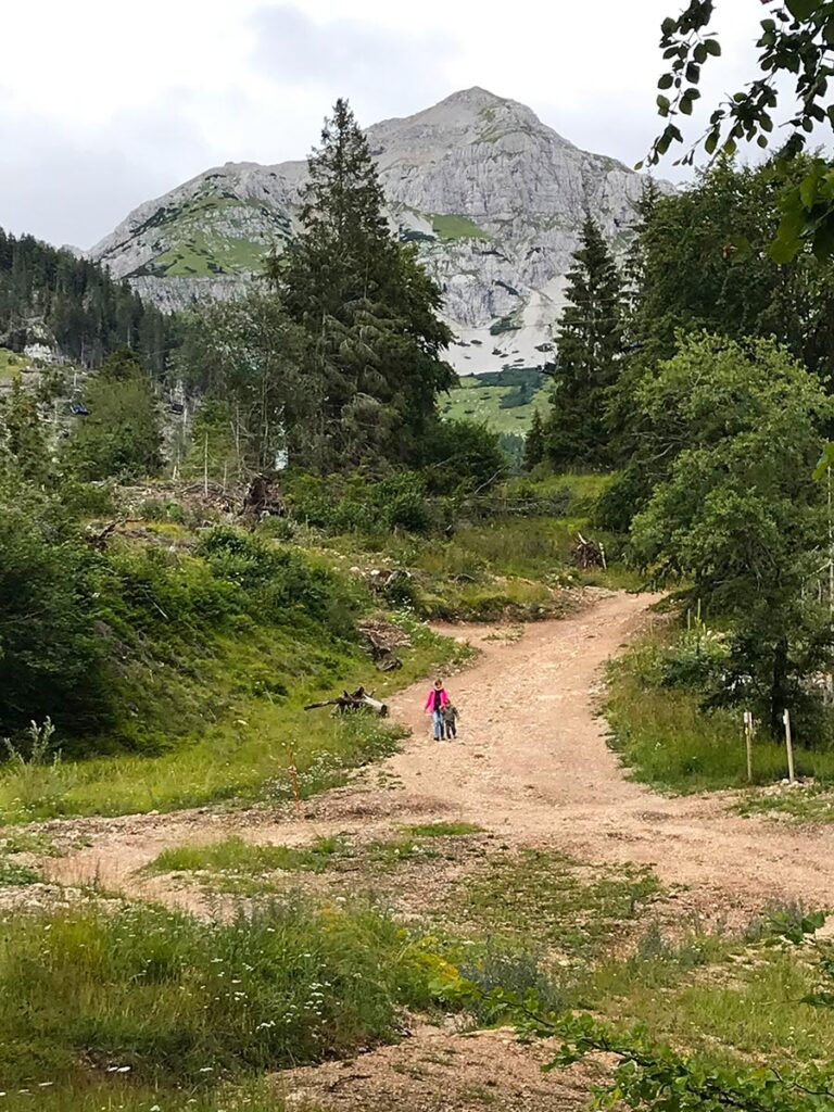 La nostra estate ad Andalo in mezzo alla natura