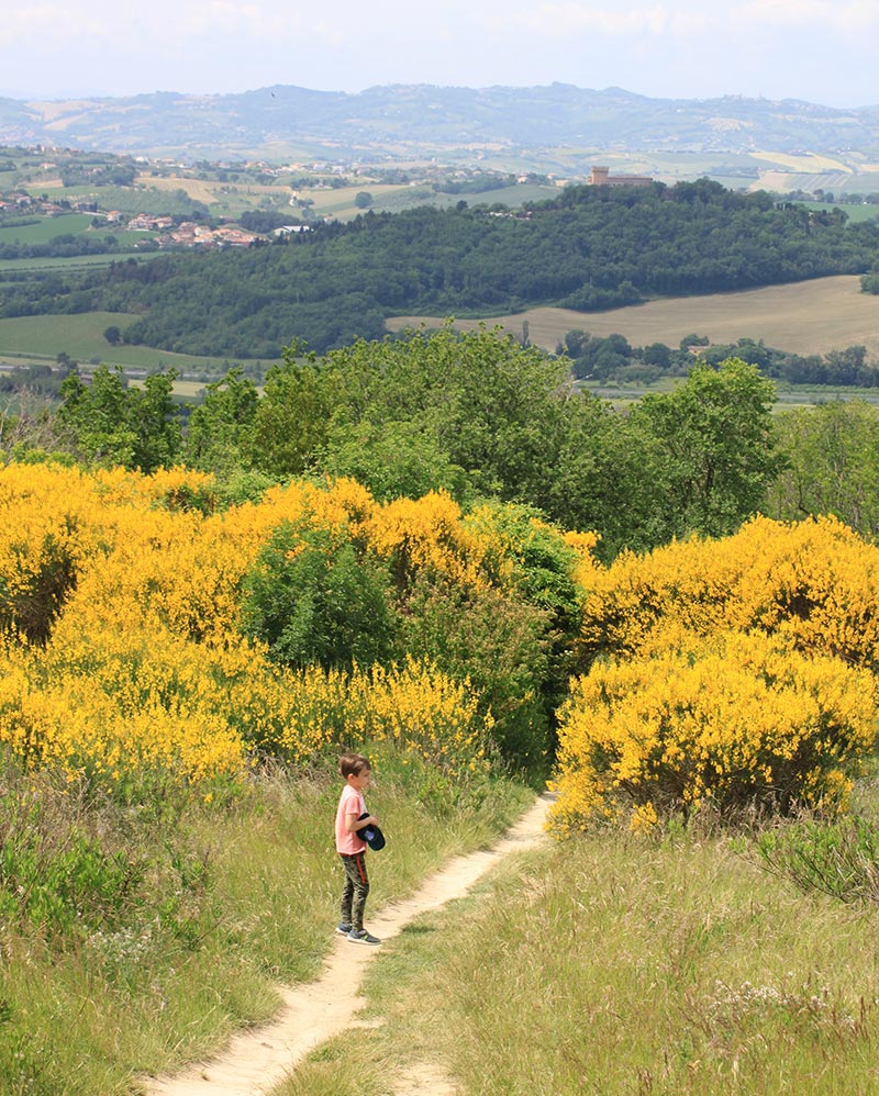 Sentiero presso il "Tetto del Mondo" nel Parco del San Bartolo